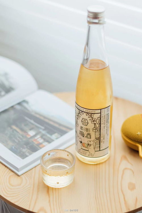 微醺時刻，甜入心扉 少女心高顏值小甜酒居家指南