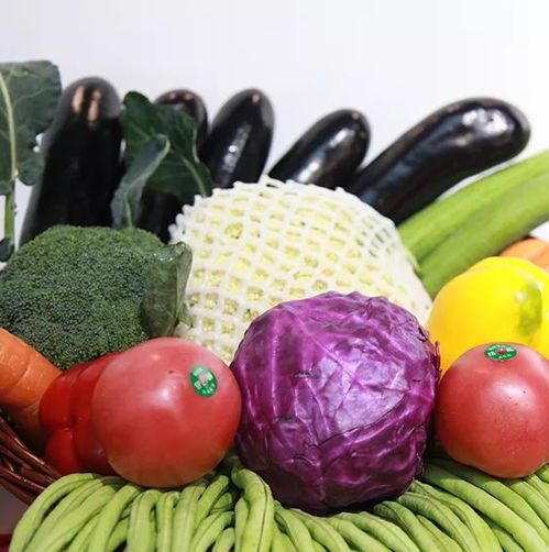 歡慶中國農民豐收節(jié)，2018邳州綠色農產品南京展銷會圓滿落幕